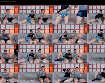 web_gammer_ — 120 minute Chaturbate male teen cam video, 720p, Apr 22, 2025