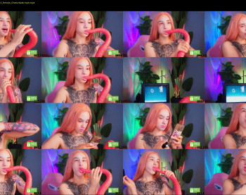 evarabbit — 14 minute Chaturbate female teen cam video, 720p, Aug 3, 2025