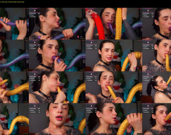 evarabbit — 30 minute Chaturbate female teen cam video, 720p, Feb 2, 2026