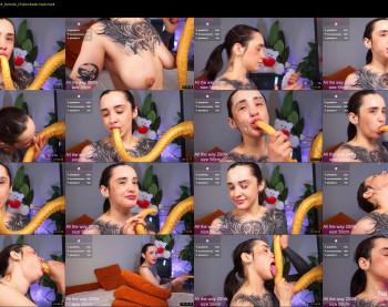 evarabbit — 81 minute Chaturbate female teen cam video, 720p, Feb 8, 2026